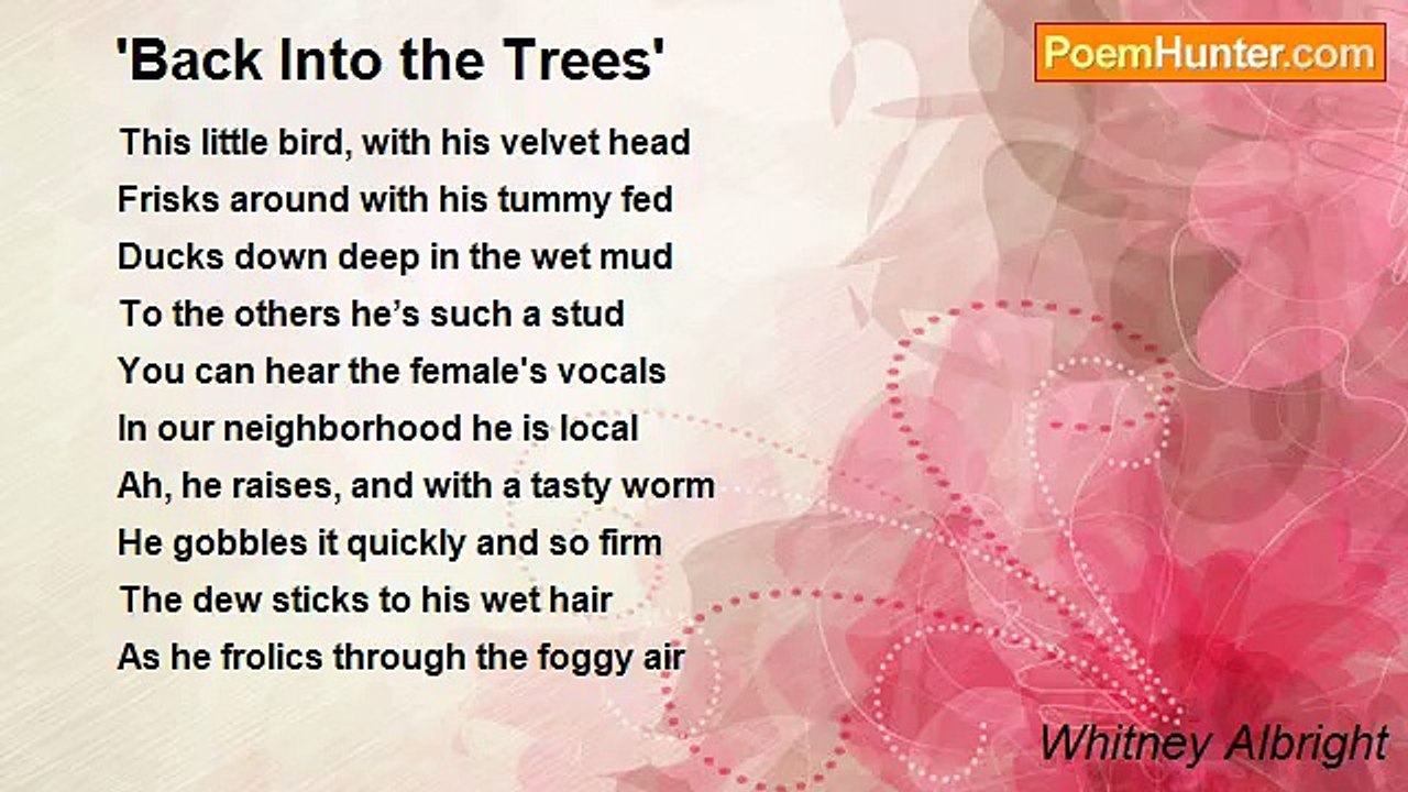 Whitney Albright - 'Back Into the Trees'