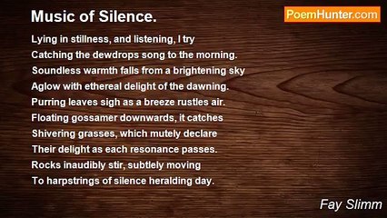 Fay Slimm - Music of Silence.