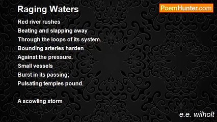 e.e. wilholt - Raging Waters