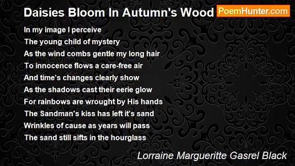 Lorraine Margueritte Gasrel Black - Daisies Bloom In Autumn's Wood