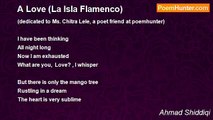 Ahmad Shiddiqi - A Love (La Isla Flamenco)