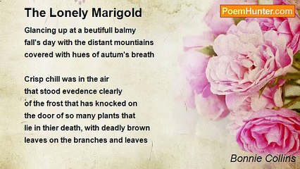 Bonnie Collins - The Lonely Marigold