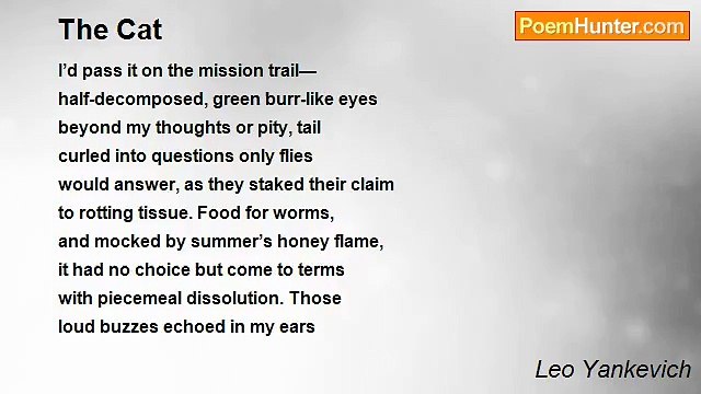 Leo Yankevich - The Cat