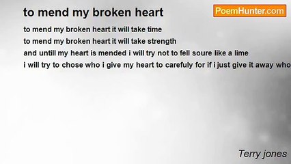 Terry jones - to mend my broken heart