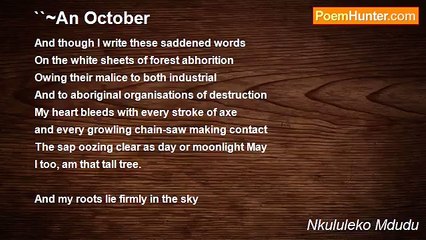 Nkululeko Mdudu - ``~An October
