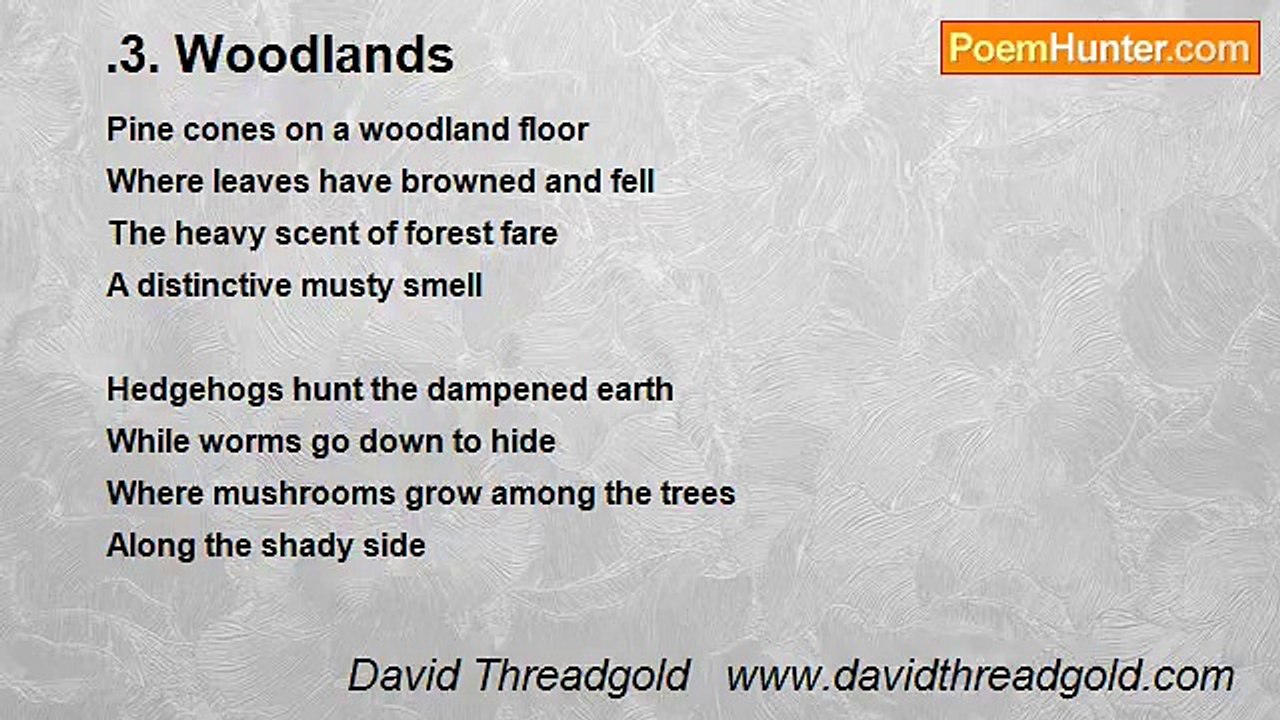 David Threadgold   www.davidthreadgold.com - .3. Woodlands