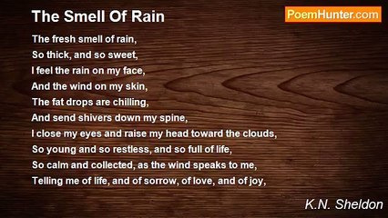 K.N. Sheldon - The Smell Of Rain