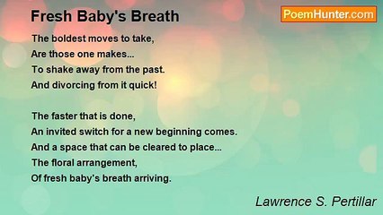 Lawrence S. Pertillar - Fresh Baby's Breath