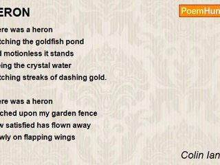 Colin Ian Jeffery - HERON