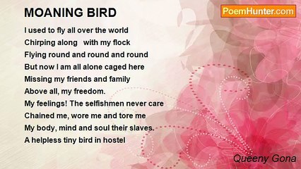 Queeny Gona - MOANING BIRD