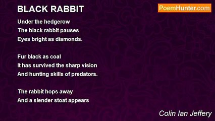 Colin Ian Jeffery - BLACK RABBIT