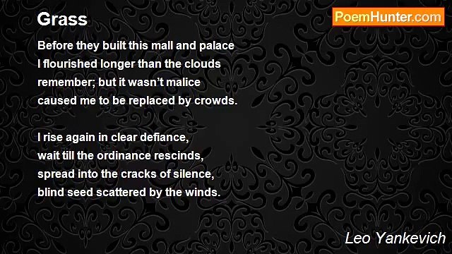 Leo Yankevich - Grass