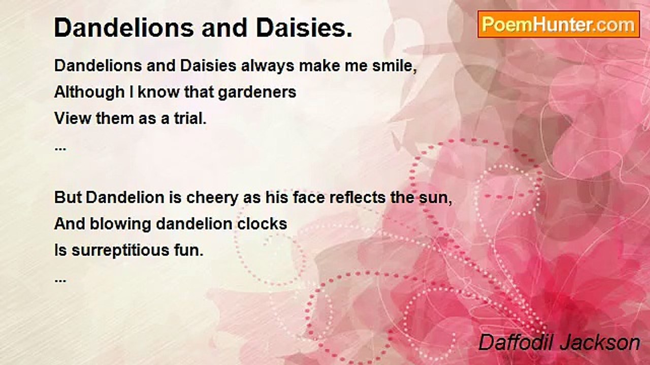 Daffodil Jackson - Dandelions and Daisies.