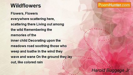 Harold Buggage Jr. - Wildflowers