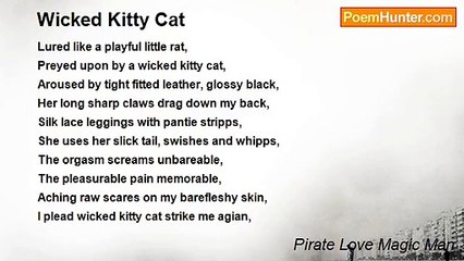 Pirate Love Magic Man - Wicked Kitty Cat