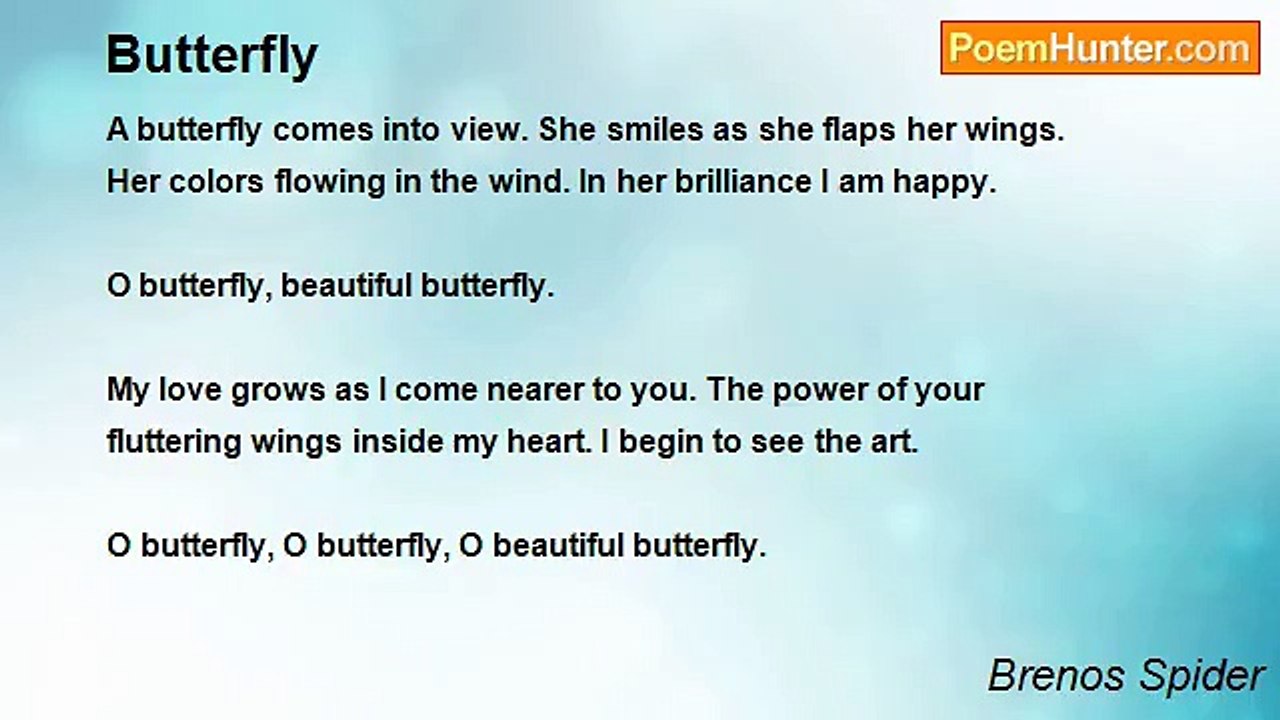 Brenos Spider - Butterfly