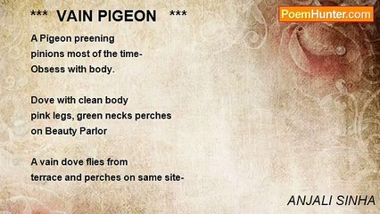 ANJALI SINHA - ***  VAIN PIGEON   ***