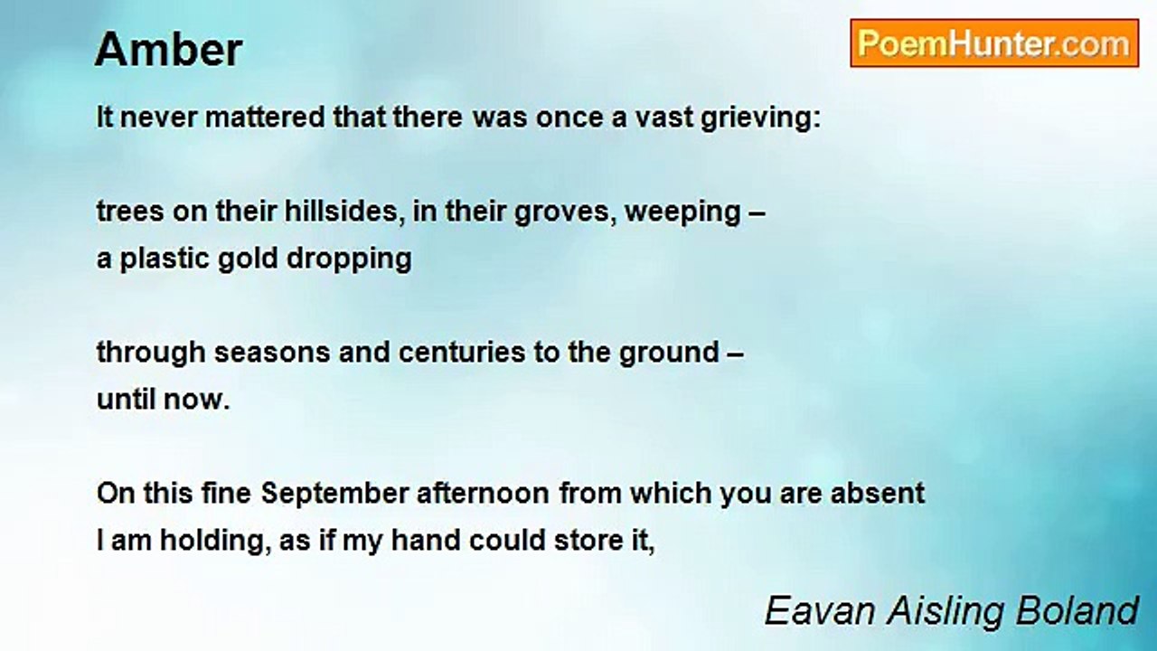 Eavan Aisling Boland - Amber