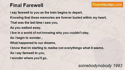 somebodynobody 1993 - Final Farewell