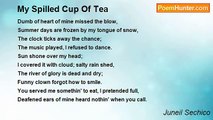 Juneil Sechico - My Spilled Cup Of Tea