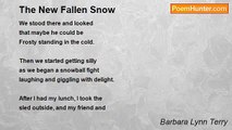 Barbara Lynn Terry - The New Fallen Snow