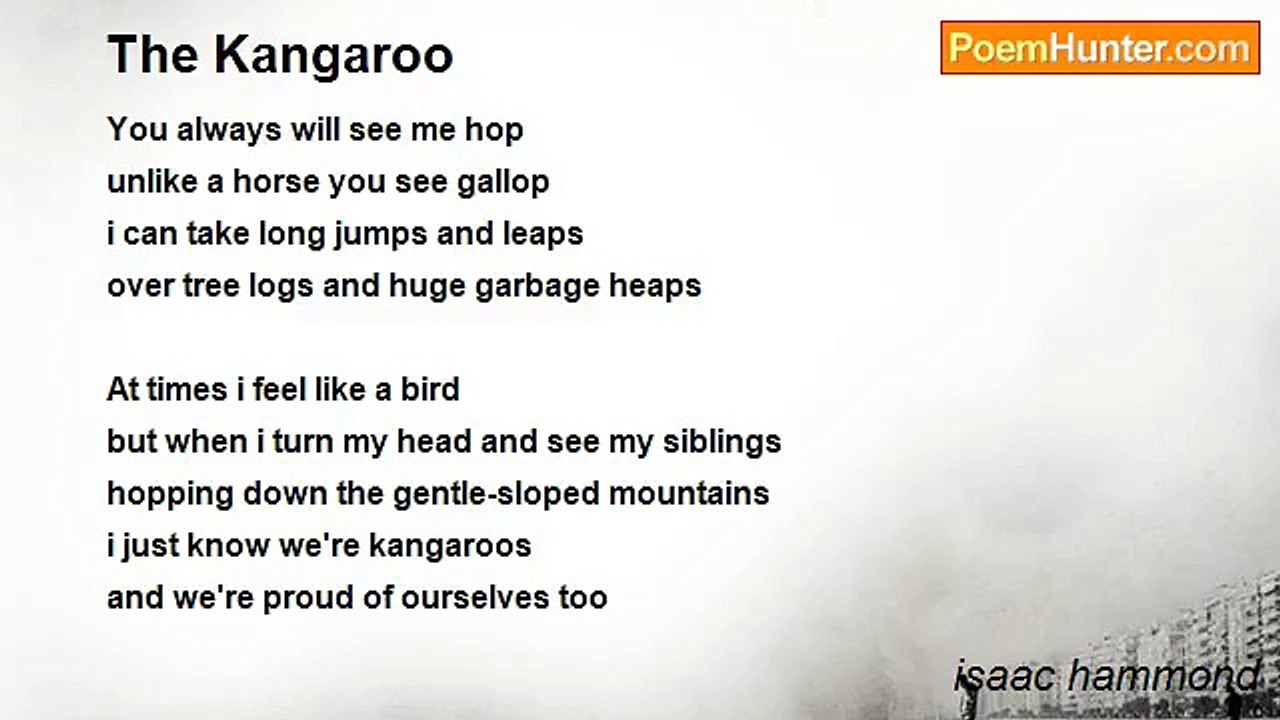 isaac hammond - The Kangaroo
