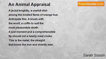 Sarah Sisson - An Animal Appraisal