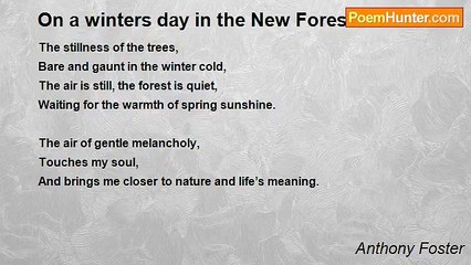 Anthony Foster - On a winters day in the New Forest