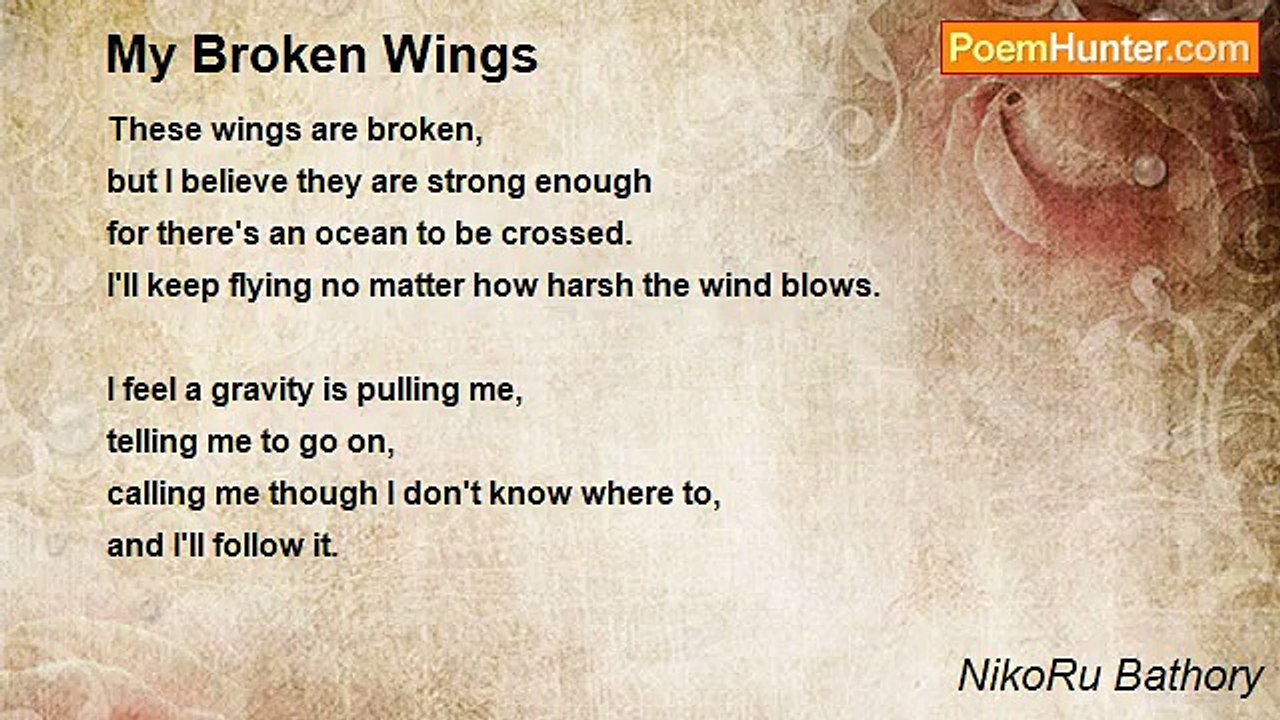 NikoRu Bathory - My Broken Wings