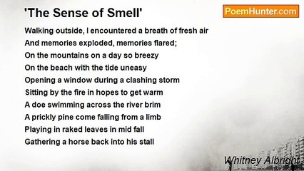Whitney Albright - 'The Sense of Smell'