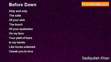 Sadiqullah Khan - Before Dawn