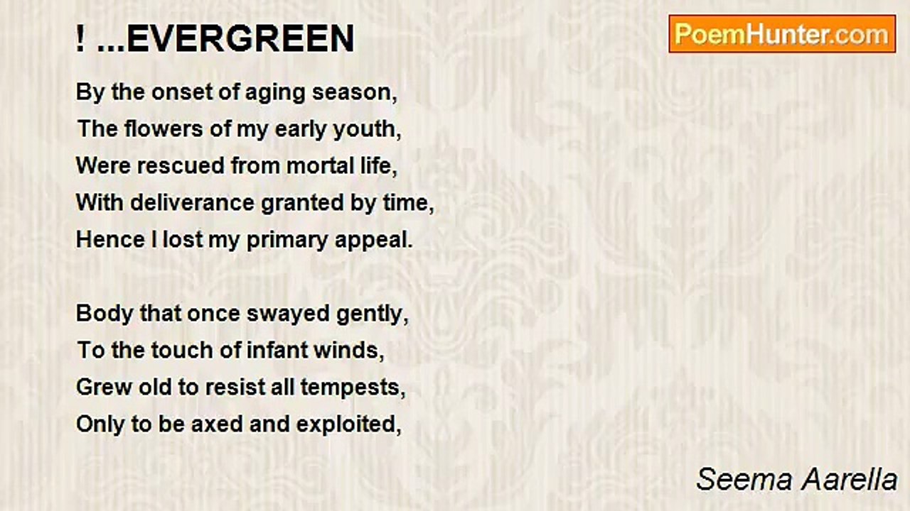 Seema Aarella - ! ...EVERGREEN