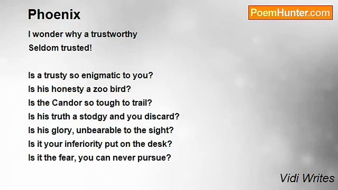 Vidi Writes - Phoenix