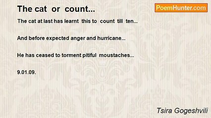 Tsira Gogeshvili - The cat  or  count...