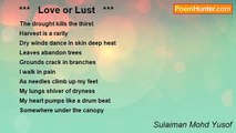Sulaiman Mohd Yusof - ***   Love or Lust   ***