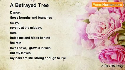 kite remedy - A Betrayed Tree