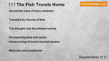 Raveendran N.V. - ! ! ! The Fish Travels Home