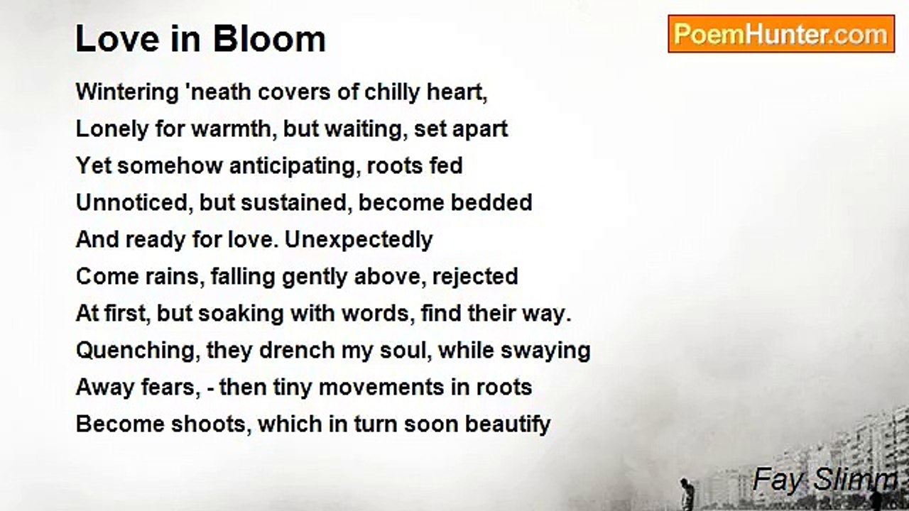 Fay Slimm - Love in Bloom