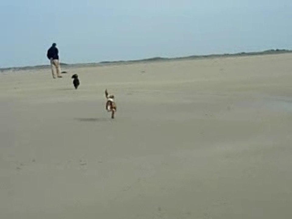 Bilitis et Chloé font la course...