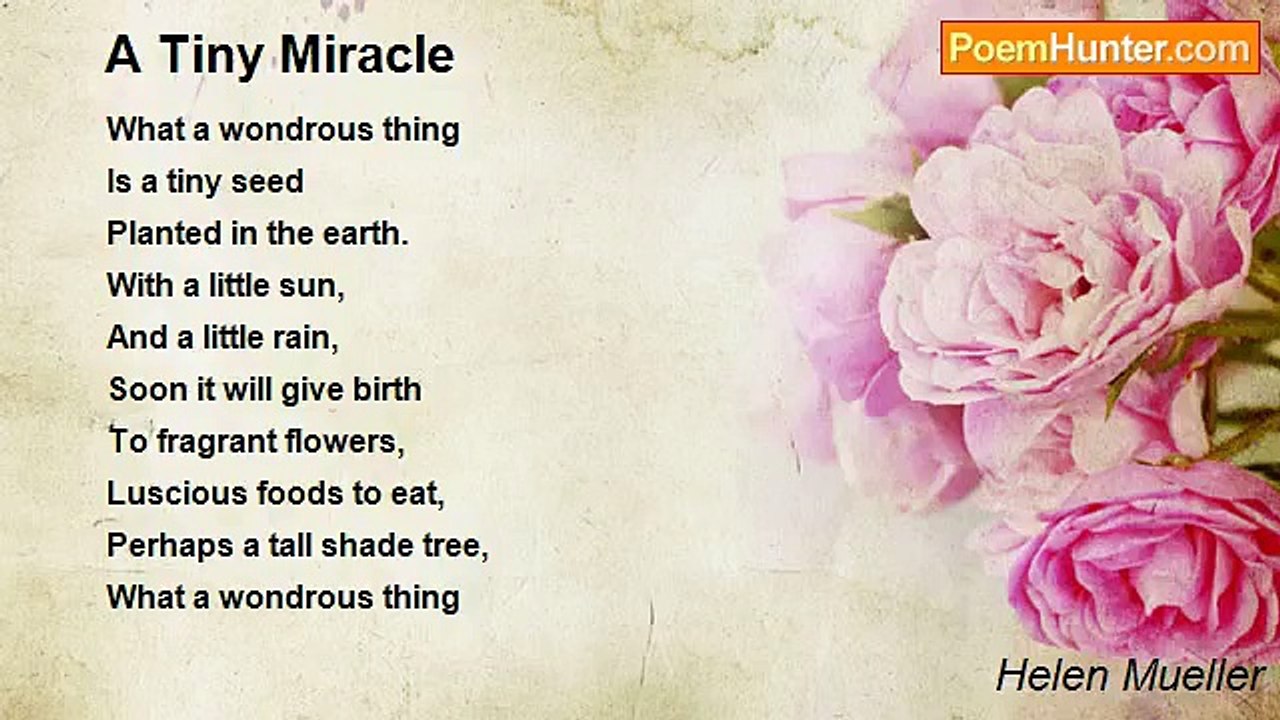 Helen Mueller - A Tiny Miracle