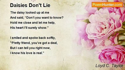 Loyd C. Taylor - Daisies Don't Lie