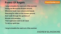 ANDREW BLAKEMORE - Forest Of Angels