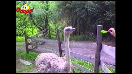 [+18 ~ Sexy Funny Girl]Pranks - Gags - Win - Fail.103