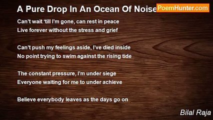 Bilal Raja - A Pure Drop In An Ocean Of Noise