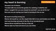 rajnish jena - my heart is burning