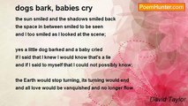David Taylor - dogs bark, babies cry