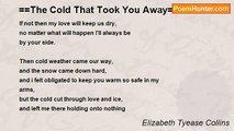 Elizabeth Tyease Collins - ==The Cold That Took You Away==