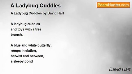 David Hart - A Ladybug Cuddles