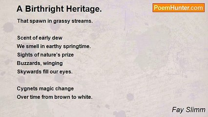 Fay Slimm - A Birthright Heritage.