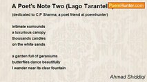 Ahmad Shiddiqi - A Poet's Note Two (Lago Tarantella)